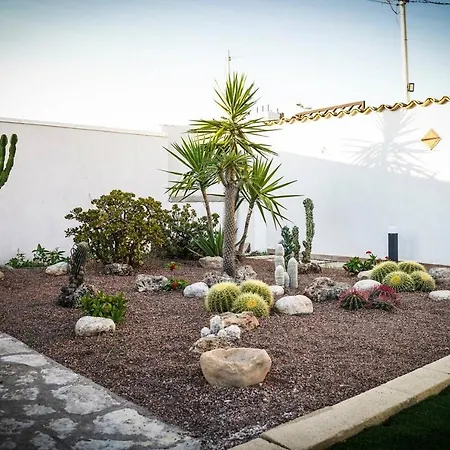 Euforbia * Αγκριτζέντο