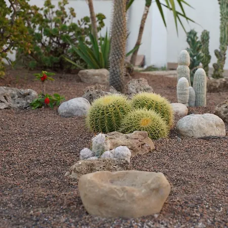 Euforbia Villa Agrigente