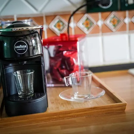 Euforbia Willa Agrigento