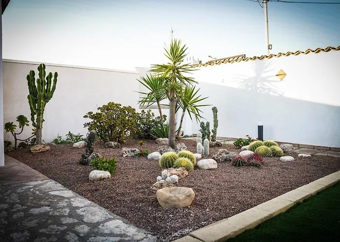 Euforbia * Agrigento