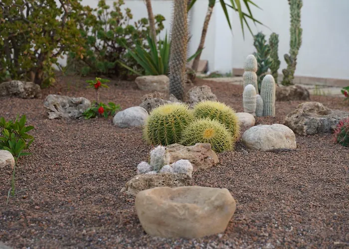 Euforbia Вилла Агридженто